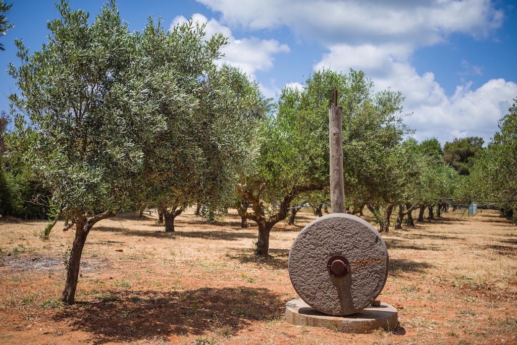 Vrysomylos Vromonerion Exterior photo